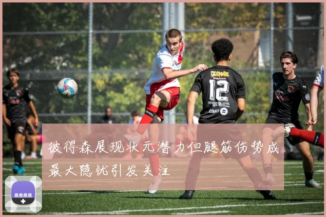 彼得森展现状元潜力但腿筋伤势成最大隐忧引发关注