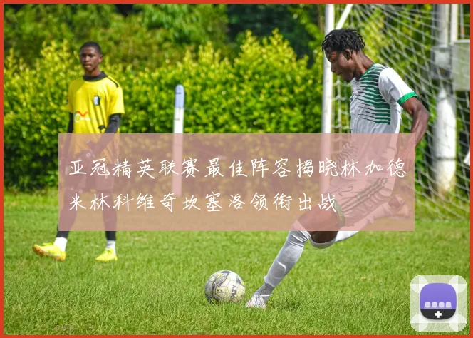 亚冠精英联赛最佳阵容揭晓林加德米林科维奇坎塞洛领衔出战