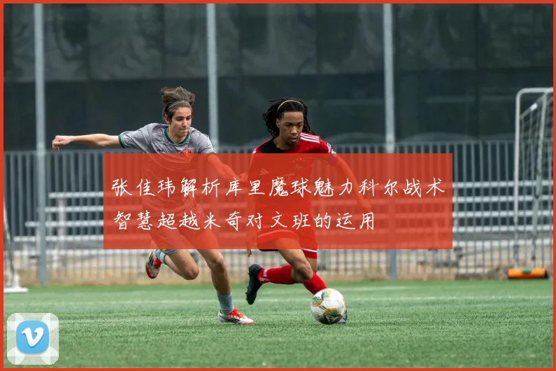 张佳玮解析库里魔球魅力科尔战术智慧超越米奇对文班的运用
