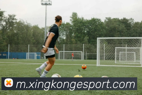 星空电竞平台生态图