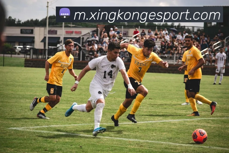 星空电竞APP 封面图